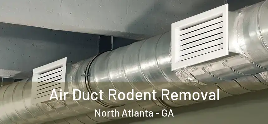  Air Duct Rodent Removal North Atlanta - GA