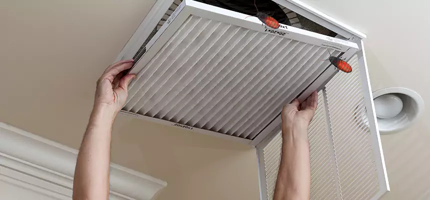 Preventive Cockroach-Proofing for Ducts in North Atlanta