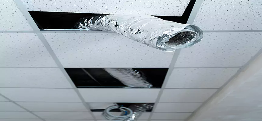 Our Air Duct Pet Hair Removal Services in North Atlanta, GA