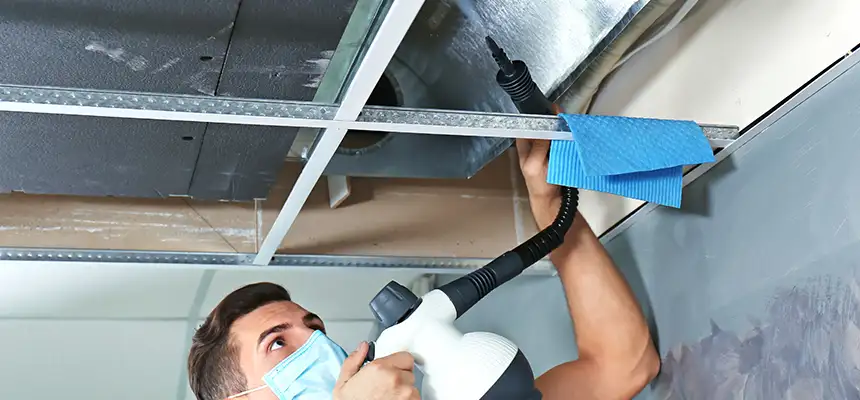Our Air Duct Rodent Removal Services in North Atlanta, GA