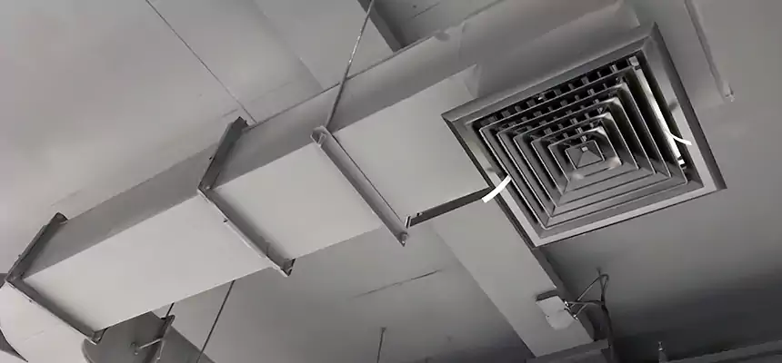 Restorative Allergy Relief Vent Cleaning – Coil, Blower & Housing Detail in North Atlanta