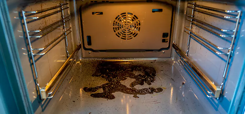 Our Dryer Vent Mold Cleaning Services in North Atlanta, GA