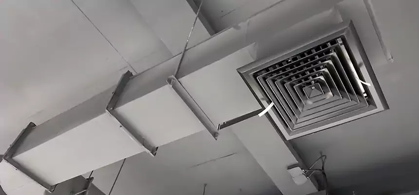 Our Pest Removal From Ducts Services in North Atlanta, GA