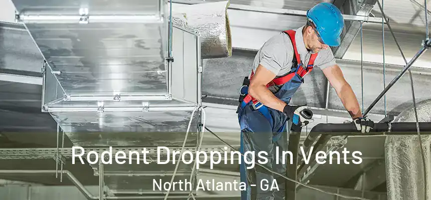  Rodent Droppings In Vents North Atlanta - GA