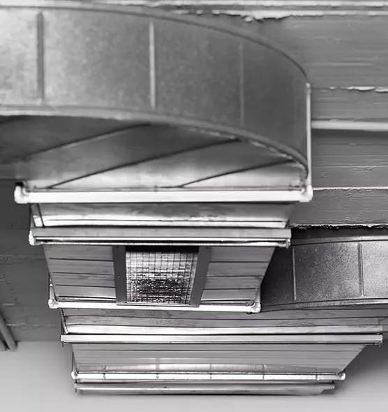 Professional Air Duct Pest Removal in North Atlanta, GA