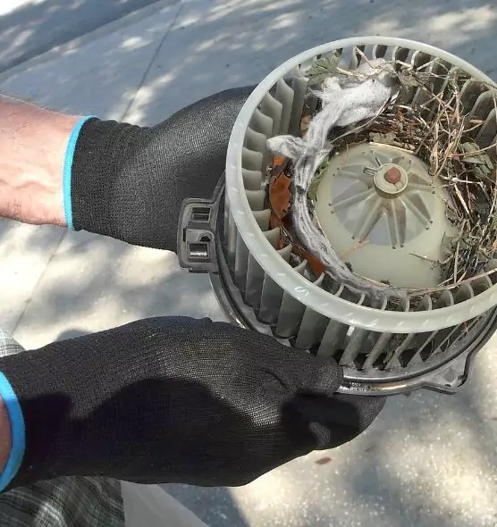 About Air Duct Rat Removal in North Atlanta, GA