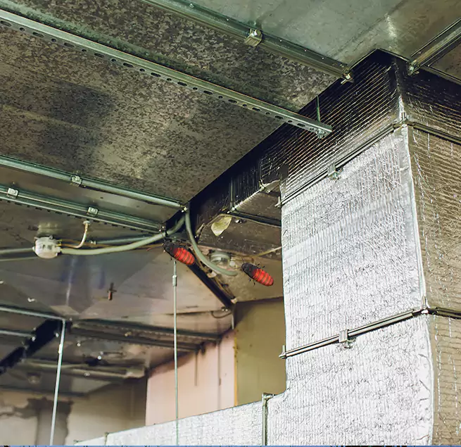 Why Homeowners & Businesses Trust Us in North Atlanta, GA?