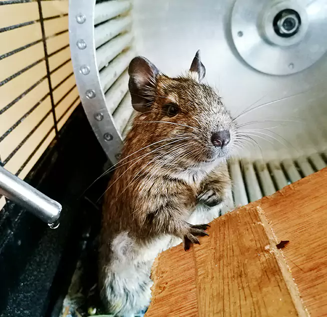 Why Homeowners & Businesses Trust Us North Atlanta, GA