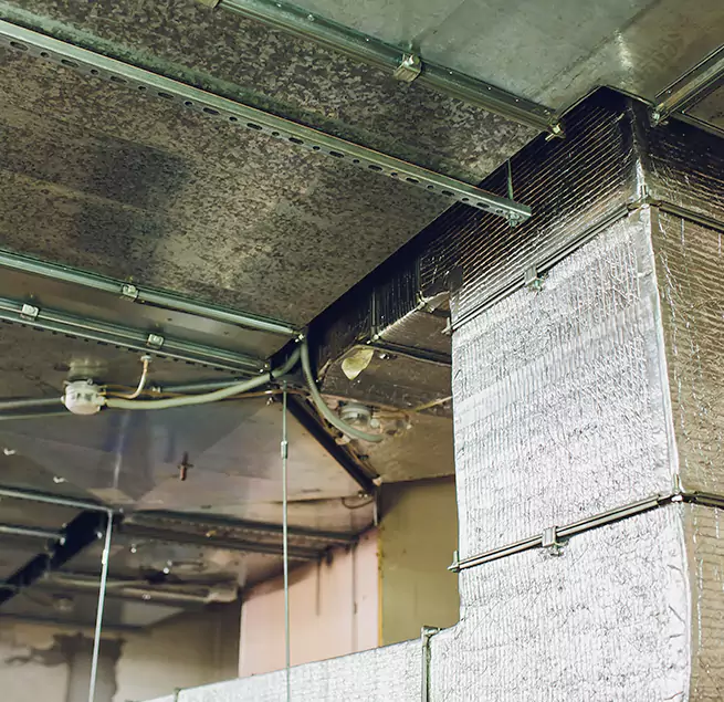 Why Homeowners & Businesses Trust Us in North Atlanta, GA?